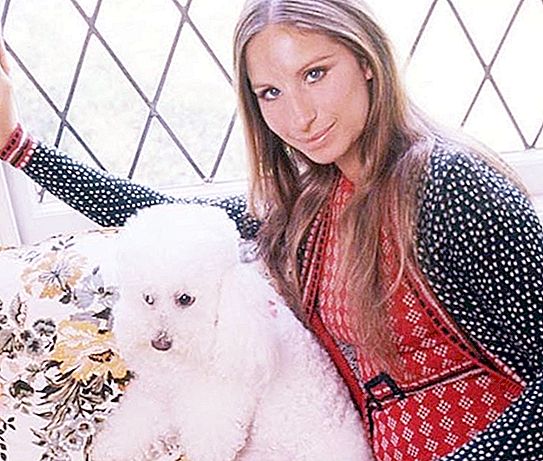 Barbra Streisand sangat mencintai anjingnya sehingga dia memutuskan untuk mengklonkannya. Penyanyi memberitahu bagaimana dia datang ke sini