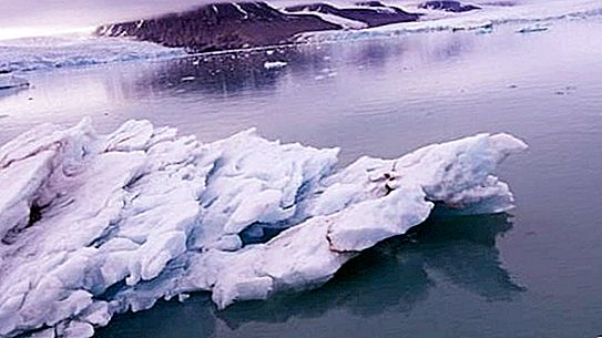 Plastpartiklar som fälldes ut i Arktis identifierades; ekologin i norr är inte så ren