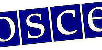 What is the OSCE? OSCE staff, missions and observers