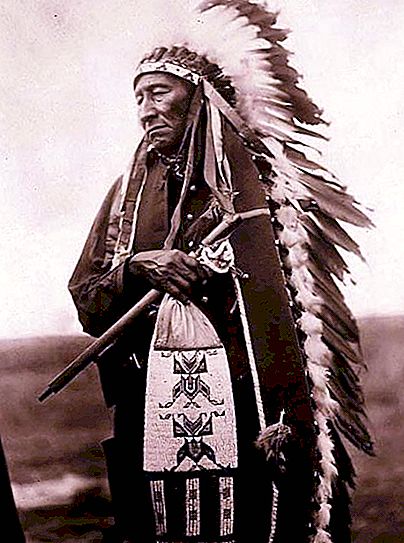 誇り高きインディアン。 鷲の羽と部族文化におけるその重要性
