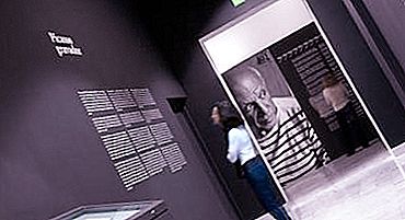 Pikaso muziejus Barselonoje - unikali platforma tyrinėti didžiojo ispano darbus