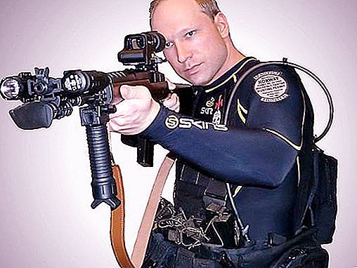 Terrorista norueguês Andreas Breivik Bering: biografia, retrato psicológico
