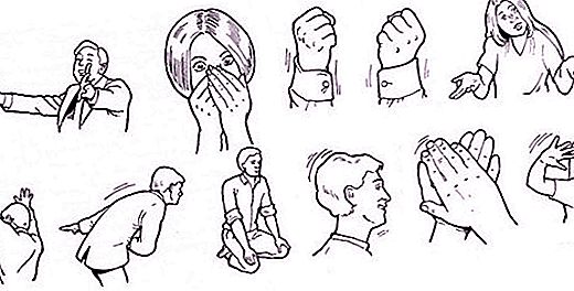 Handläge: grundläggande, mellanliggande, i rörelse. Händernas position under gester
