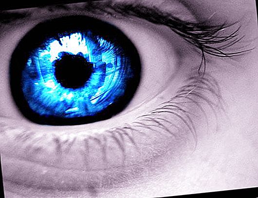 Modré oči jsou výsledkem mutace