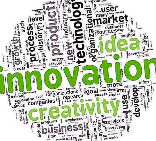 Wat is innovatie? Voorbeelden, soorten innovaties