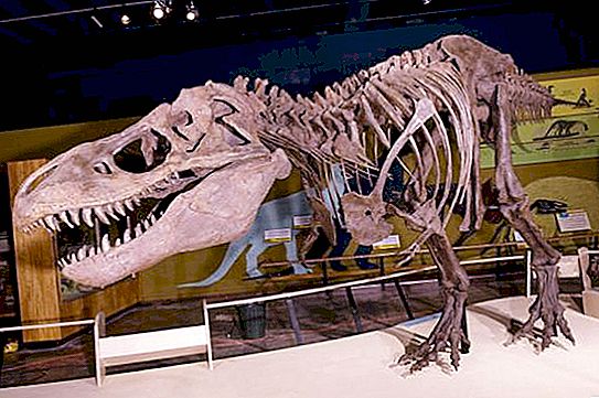 Missä on maailman tunnetuin dinosaurusmuseo?