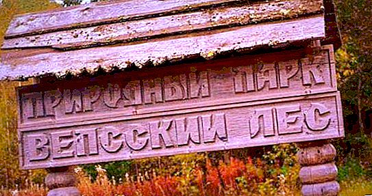 Περιφέρεια Λένινγκραντ: αξιοθέατα, χαρακτηριστικά και ενδιαφέροντα γεγονότα