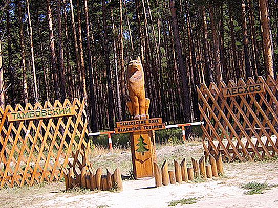 Tambov Wolf - et monument til det mest berømte symbolet i regionen!