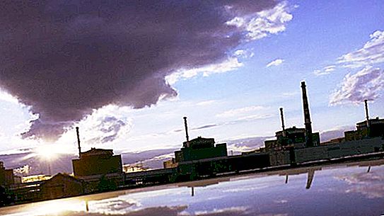 Central nuclear de Zaporizhzhya: fuga de radiación en 2014