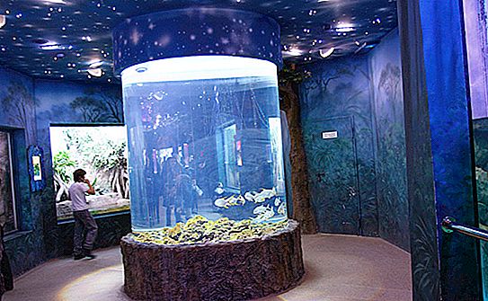 วิธีการค้นหาพิพิธภัณฑ์สัตว์น้ำ (Yaroslavl)