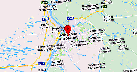 Kiná v Astrakhan: hodnotenie a popis