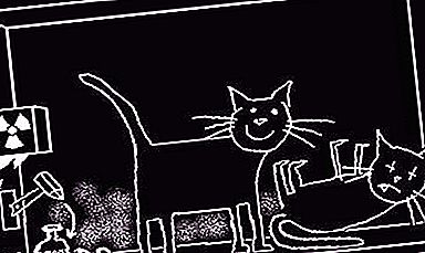 Schrödinger cat - isang sikat na eksperimento ng kabalintunaan