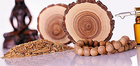 Santálové drevo je názov voňavého dreva stromov rodu Santal (Santalum). Sandalwood: Opis a aplikácie