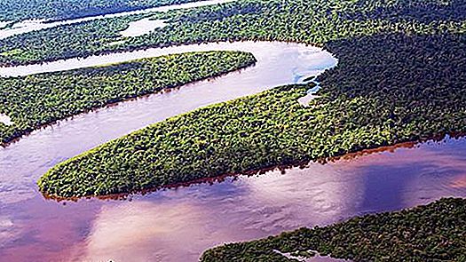 Amazonka je največji rečni sistem na svetu. Gospodarska uporaba reke Amazonke