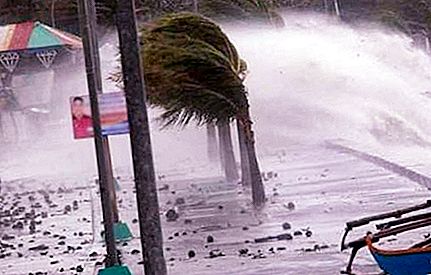 Što je tajfun? Kako se formira tajfun?