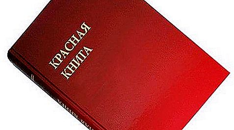 Piante elencate nel Libro rosso della regione di Rostov. Specie vegetali rare e minacciate di estinzione della regione di Rostov