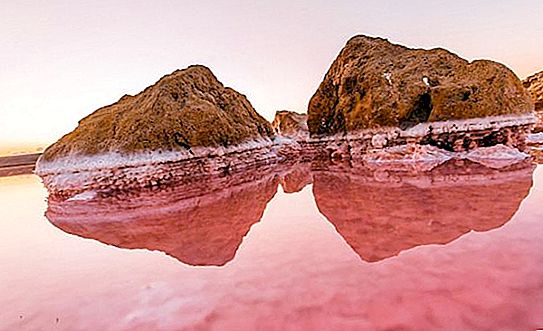 Lago rosa salgado na Crimeia