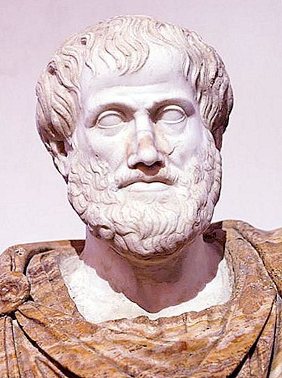 Aristotelov nauk o državi in ​​pravu