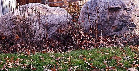 ما هو الصخرة؟ أصناف ونطاق الصخور. متحف فريد من الصخور في مينسك
