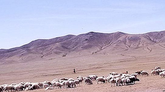Emas emas Mongolia: bagaimana pemanasan iklim akan memberi kesan kepada kehidupan nomad