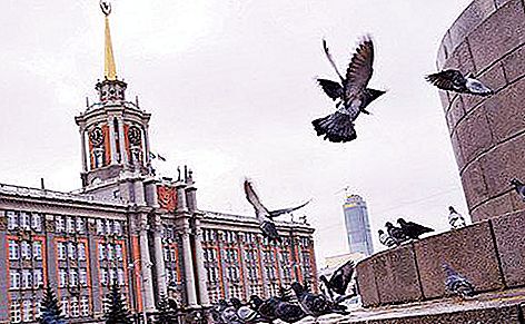 Erdbeben im Ural: Epizentrum, Folgen