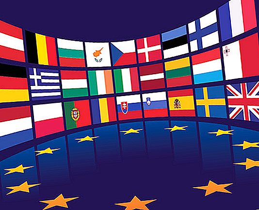 Institucije EU: struktura, razvrstitev, funkcije in naloge