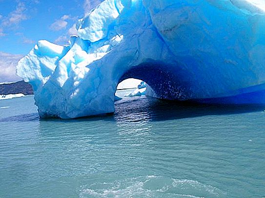 Kto môže byť videný na obrovskom ľade? No, samozrejme, medveď a tučniak!