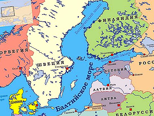 Habitants de la mer Baltique: types et description, habitat, photo