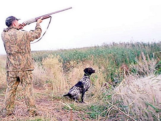 Hunting is a hobby for men. Features of this hobby