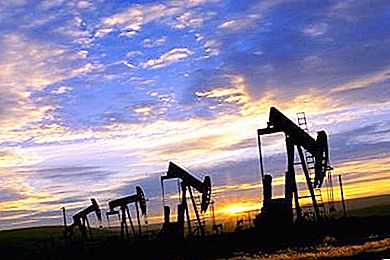 Tại sao giá dầu giảm? Giá dầu thế giới