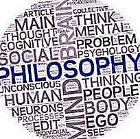 Philosophy teacher - features of the profession. Where to start studying philosophy