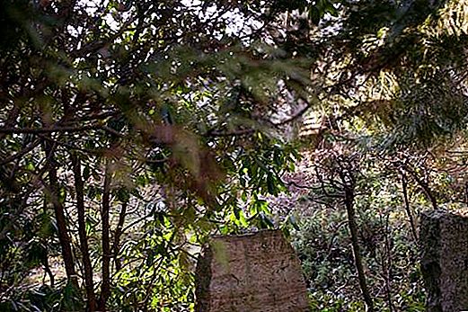 Serafimovsko pokopališče - spomin na preteklost