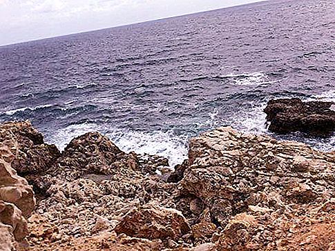 博物館：クリミア半島は国の歴史的過去を保存しています
