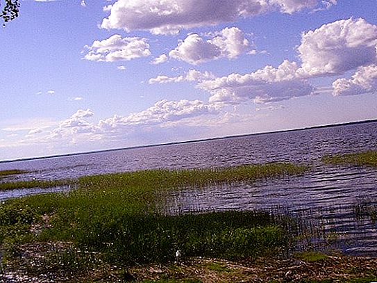 レニングラード地方のサムロ湖：写真、説明、周辺の観光スポット、特に釣り