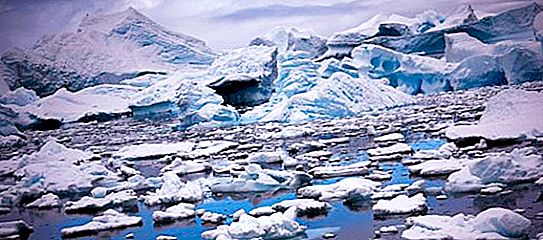 محيط الأصوات: 8 أصوات غريبة في أنتاركتيكا