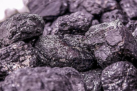 Què és el carbó, com i per què es minta? Líders països de la mineria de carbó