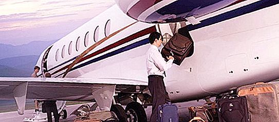 Berapa suhu di kompartemen bagasi pesawat terbang: aturan transportasi, norma, ulasan