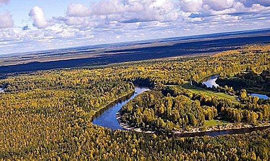 The climate of Siberia. Features of the climate of Siberia
