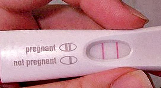 Er det mulig å bli gravid fra smøring av en mann uten penetrering?