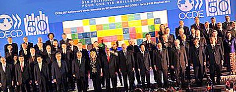 מדינות הארגון לשיתוף פעולה ופיתוח כלכלי. OECD ופעילויותיה