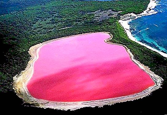 어메이징 오스트레일리아 : 힐러-소금 해안이있는 분홍색 호수