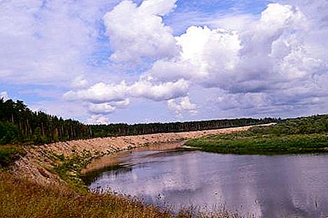 Naturschutzgebiet Prisursky: Beschreibung, Flora, Fauna, Klima