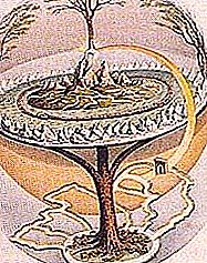 L’arbre de la vida forma part de la cultura mundial