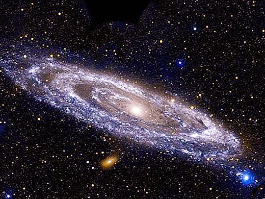 हमारी आकाशगंगा का नाम क्या है? महान सर्पिल की शारीरिक रचना