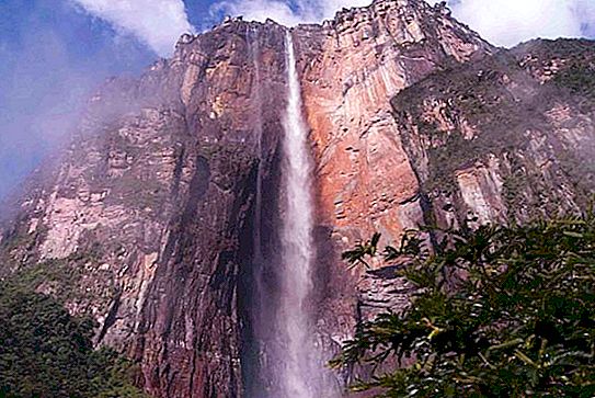 What is the height of the free fall of water in Angel Falls