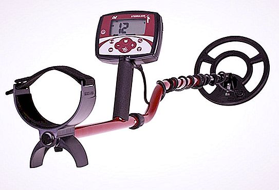 The best metal detector for finding coins (photo)