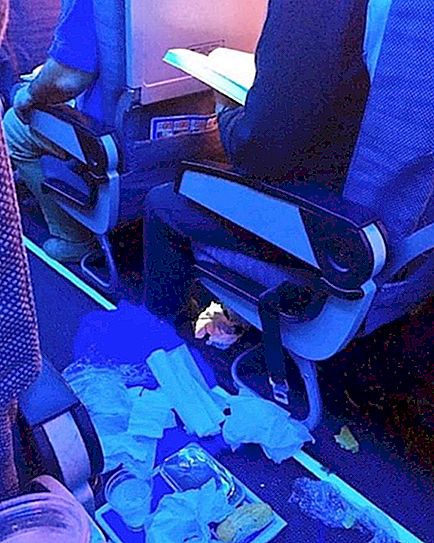 Samotná výhoda: výber fotografií hrozných cestujúcich v lietadle