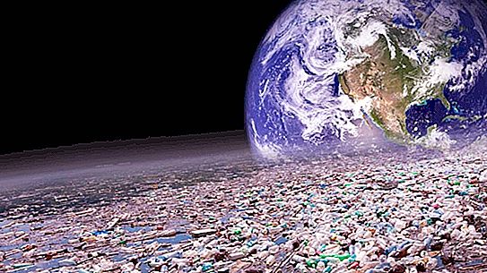 Scientists have found bacteria that can decompose industrial debris