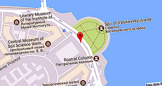 サンクトペテルブルクの交流広場-歴史、興味深い事実、写真
