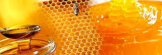 มันเป็นไปได้ที่จะกินน้ำผึ้งในการอดอาหาร: ความคิดเห็นที่แตกต่างกันประเพณีและสูตรอาหาร